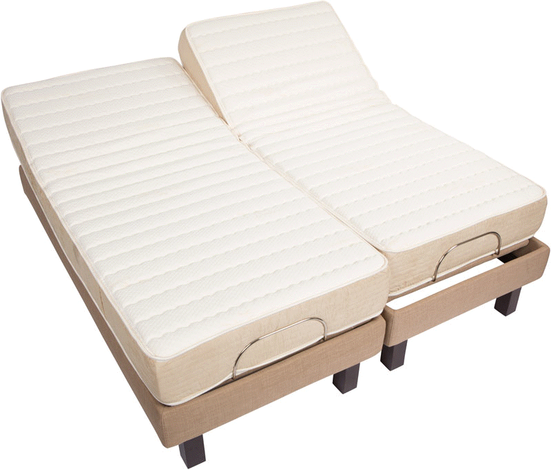 high profile Chula Vista natural organic latex highest best quality adjustable bed