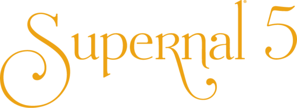 Supernal 5 five function electric bed with Trendelenburg and reverse Trendelenburg