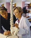 posture natural organic mattress